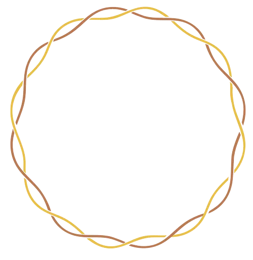 Logo contours tisseurs de lien 69