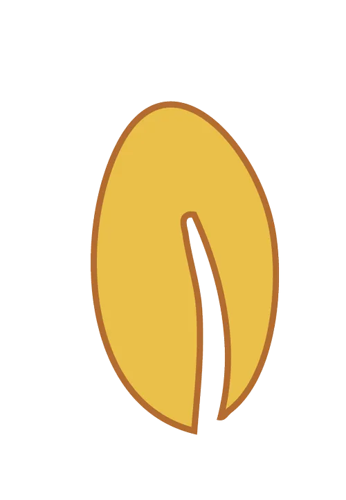 logo graine tisseurs de lien 69